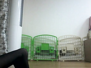 韩国 自己在家能做的