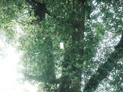 [SSIS-448] 同棲 LOVE STORY 三上悠亜 - 1of5