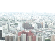 [RBD-623] 失去配给的电影导演妻子 かすみ果穂【BVPP】 - 3of5