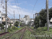 [DASS-387] 真正接受了弟弟谎言的巨乳姐姐暴走打桩骑乘位 橘メアリー【破解】 - 1of5