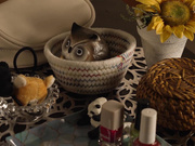 [SILK-159] 忘れられない夜にしよう。 第2夜 - 3of5