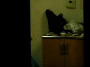 精品推薦 偷拍手法很專業的高手窗戶邊拍到幾個合租妹子沐浴更衣 堅挺美乳看得讓人欲火焚身 1080P原版高清