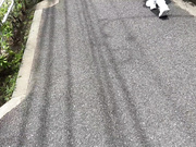 [STSK-153] チアガール ＃青春＃部活動＃きつねダンス＃生中出し - 1of5