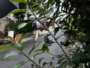 [KIRM-048] 監禁イラマチオ - 1of5