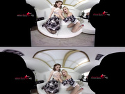 Teacher's Pet in Virtual Reality