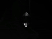 ConorCoxxx.18.10.26.Karma.RX.Backstage.Sex.With.Hot.Gr