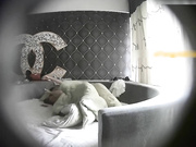 特色酒店偷拍年轻漂亮的短发气质美女被身强体壮的男友爆操了5次,次次内射,这样干下去美女肯定肿了不能下床!