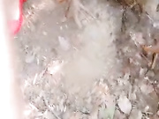 肉丝开裆红鞋美女勾搭大学生小哥到户外树林野战妹子口活不错