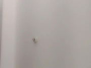 胖男探花约了个熟女TP啪啪 口交上位骑乘自己动大力猛操非常诱人