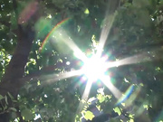 [ABP-058] 世界的美少女、我的宠物 水咲ローラ【破解】 - 1of5