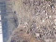 周末放假回陕北老家和可爱女友在野外打炮露脸