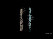 [MIAE-169] 乳房密着 最后是非常激烈的夹射 君島みお - 1of5