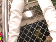 痴女老师肉穴奴隶 爱泽莲(无码)02