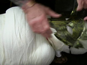 重口味SM刺激剧情法老王把饱满女孩绑在案板