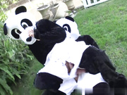 妮可·安妮斯顿和卢卡斯·弗罗斯特熊猫风格