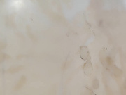 商K达人激情一整夜与小萝莉深入交流双双高潮