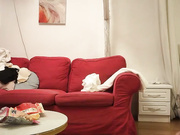 最爱绿茶婊各姿势抽插经典淫乱性爱