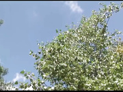 最新精品JAPANHDV无码剧情系列【全裸游泳教学】腼腆D奶女神绫濑遥被同学和游泳教师侵犯中出内射