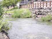 [MOND-238] 憧れの女上司と 小早川怜子 - 1of5